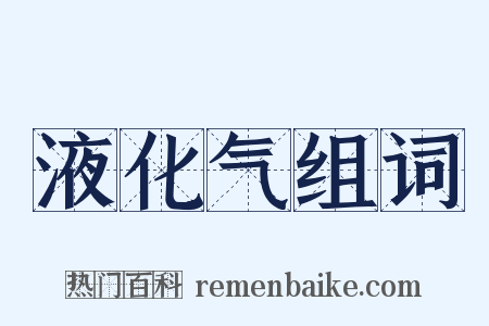 液化气组词是什么意思的图片
